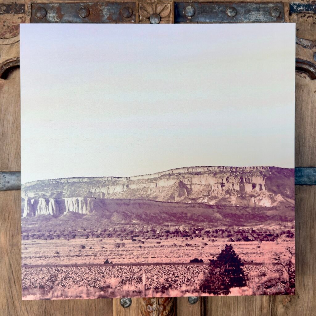 Sorrel (Wood Print)