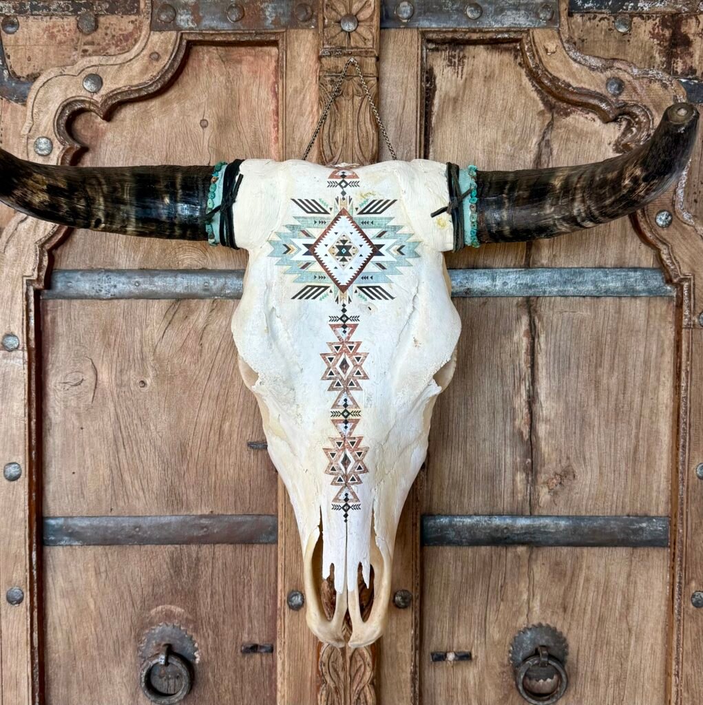 Ivory 1 (Natural Bovine Skull)