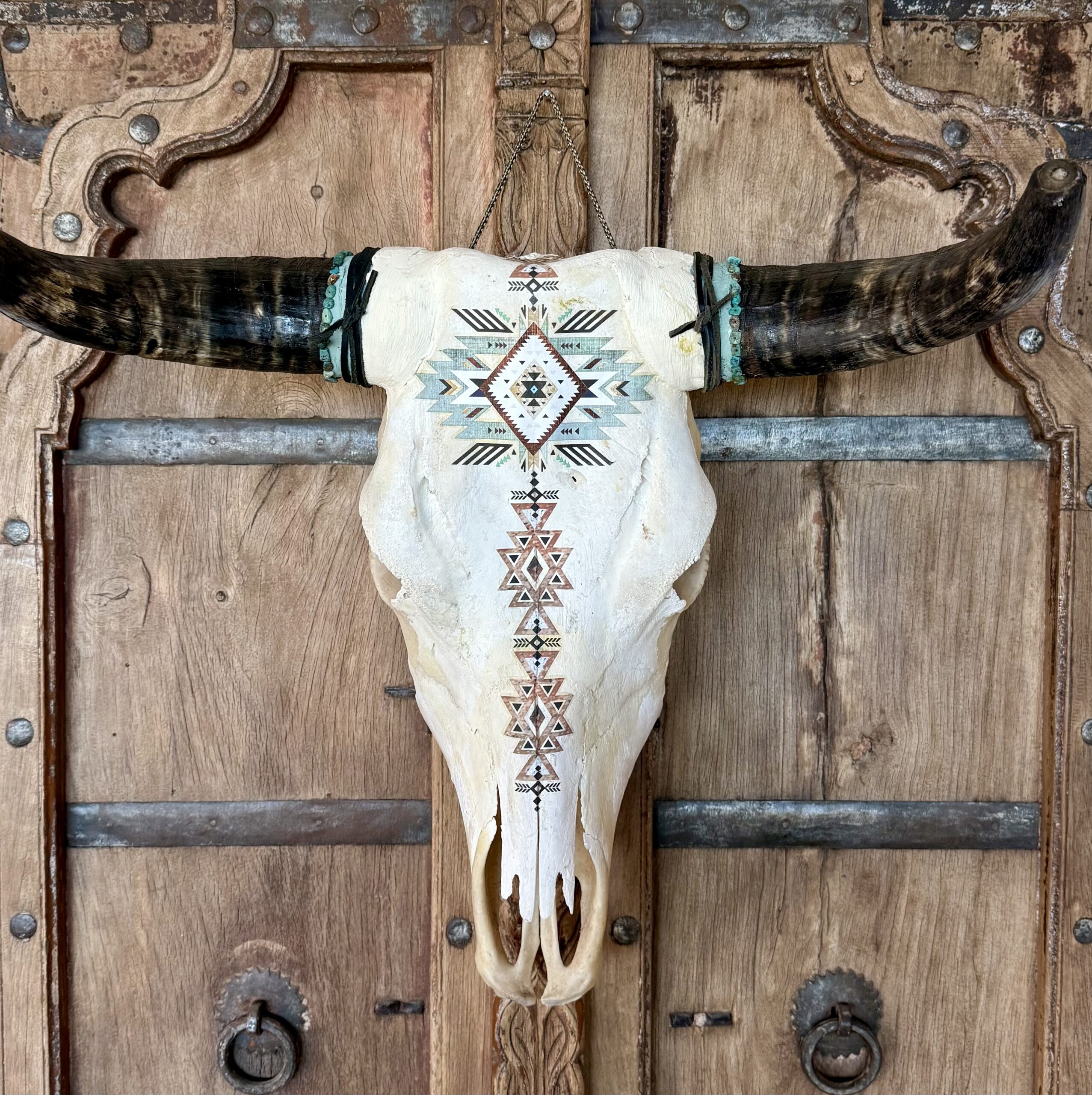 Ivory 1 (Bovine Skull) - Image 1