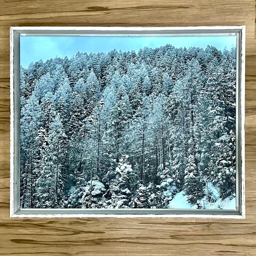 Winter Forest (Framed Canvas Print)