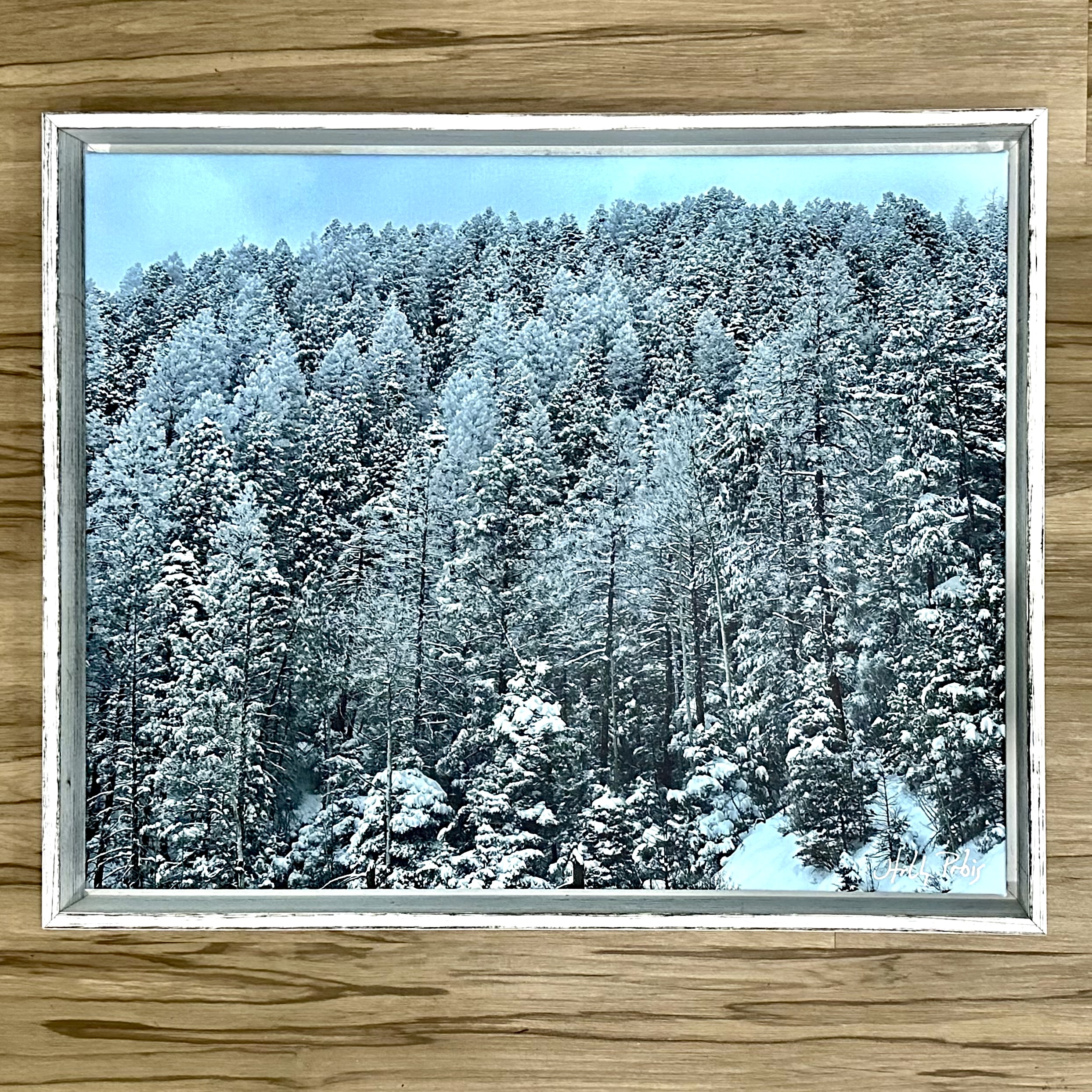 Winter Forest - Image 1