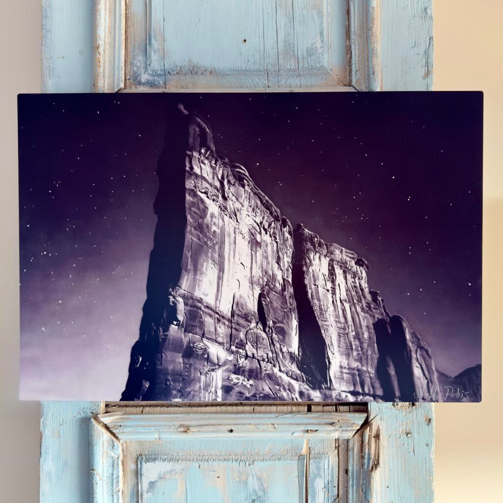 Starlit 1 (Metal Print)