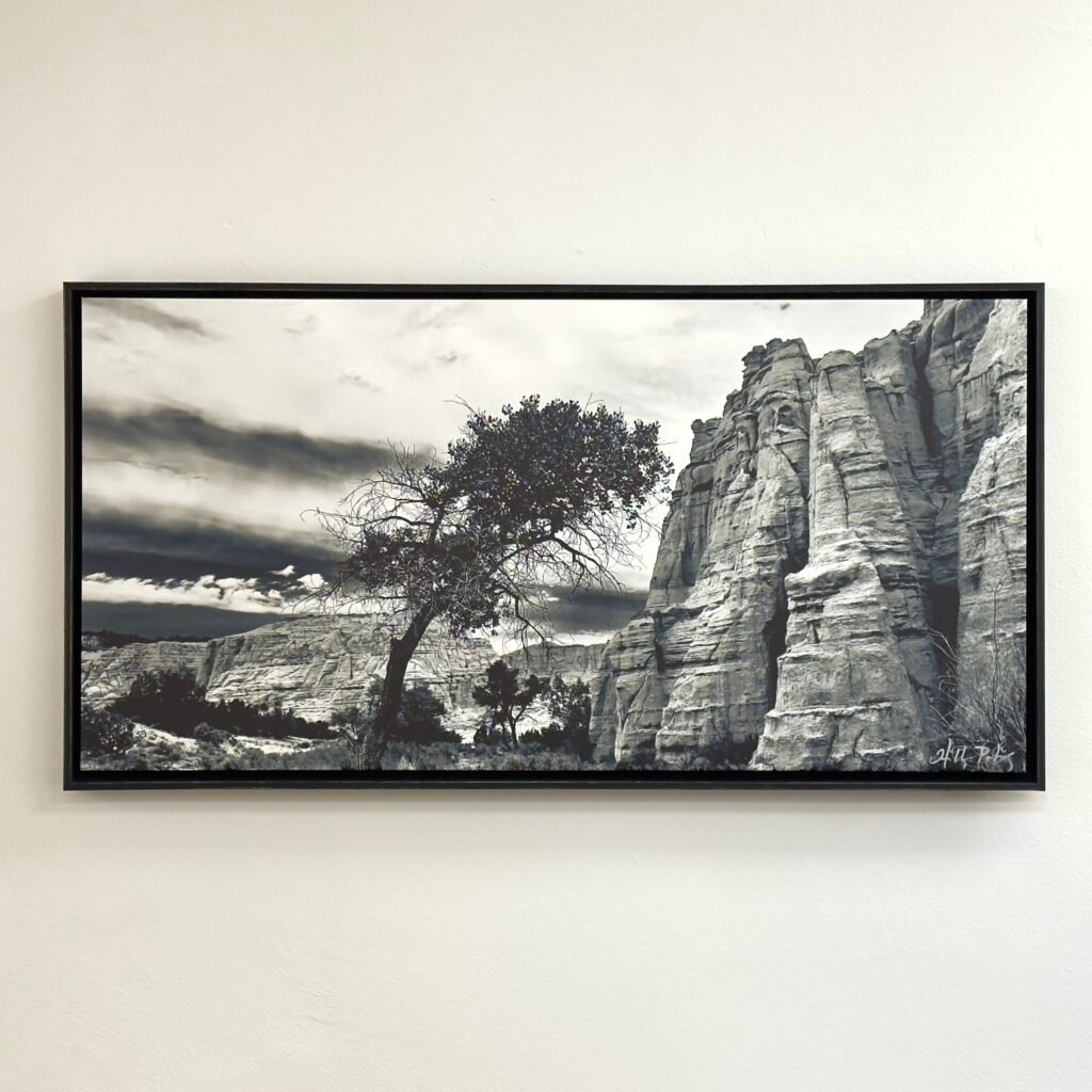 Solitary (Framed Canvas Print)