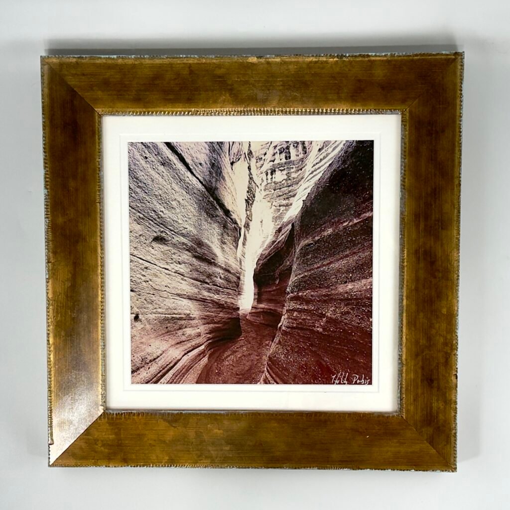 Serpentine (Framed Giclee Print)