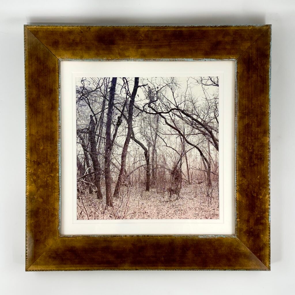 Mystic (Framed Giclee Print)
