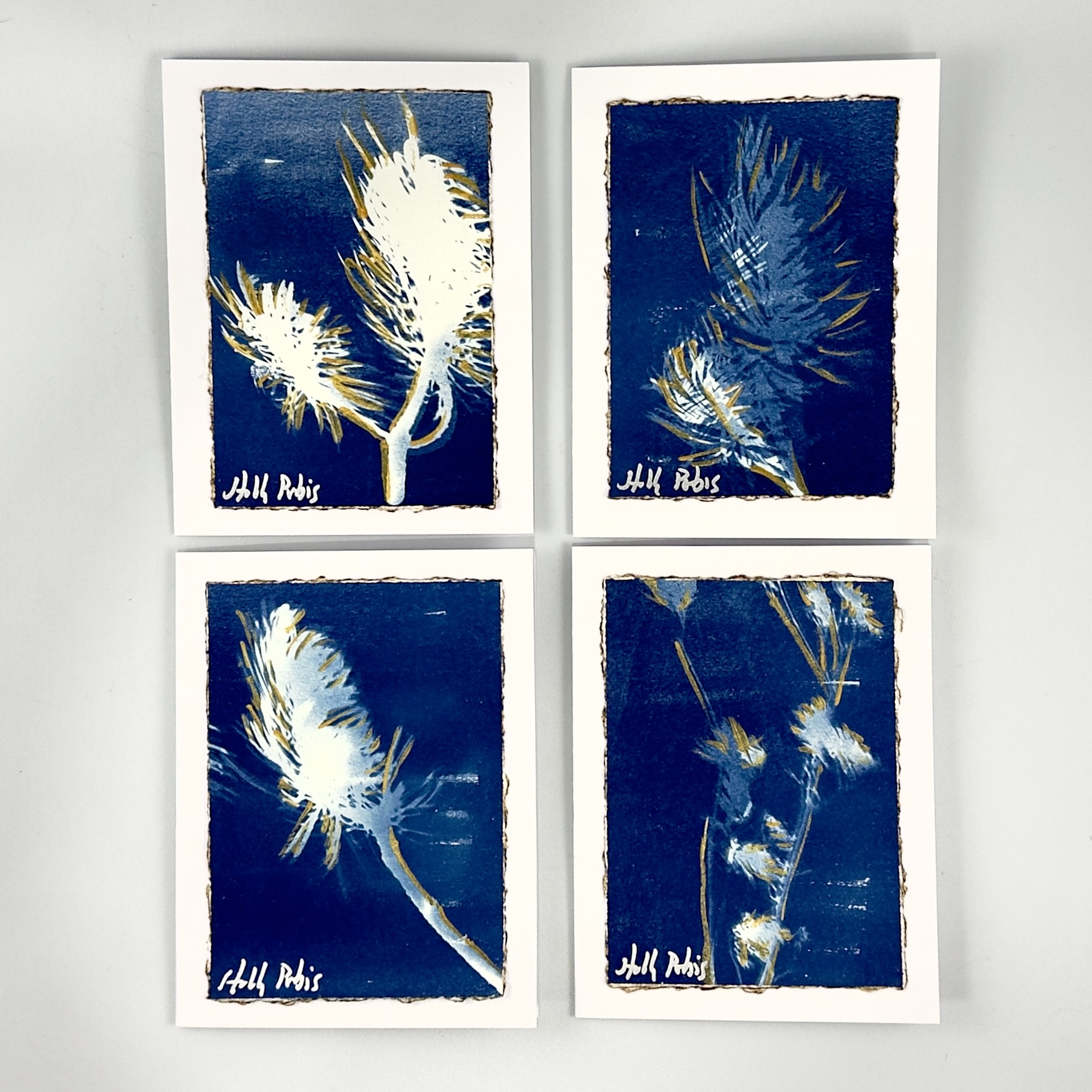 Cyanotype Greeting Cards (A) - Image 1
