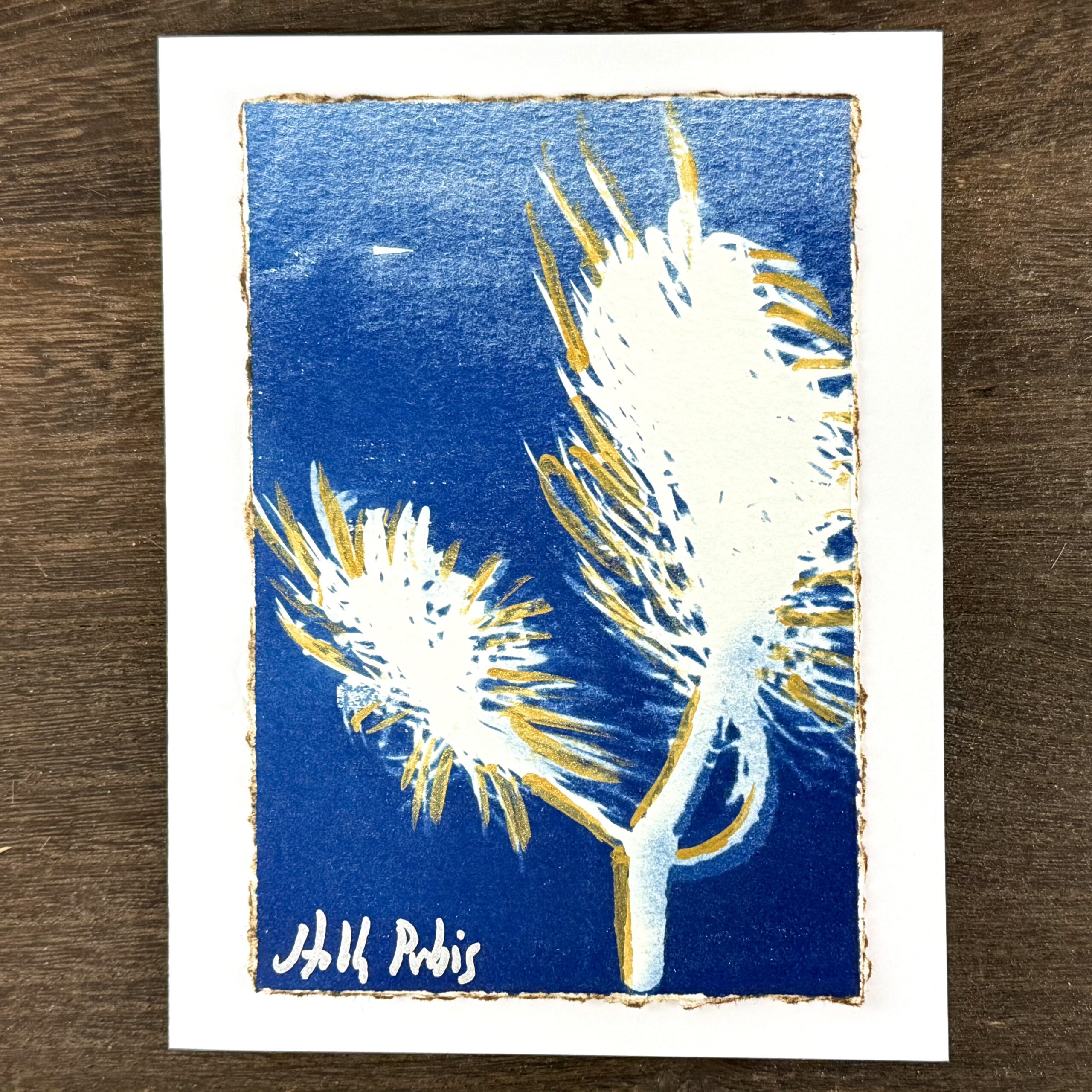 Cyanotype Greeting Cards (A) - Image 3