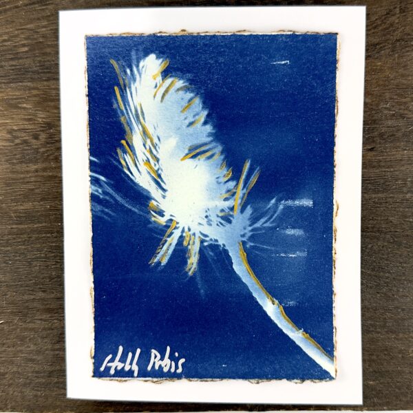 Cyanotype Greeting Cards (A)