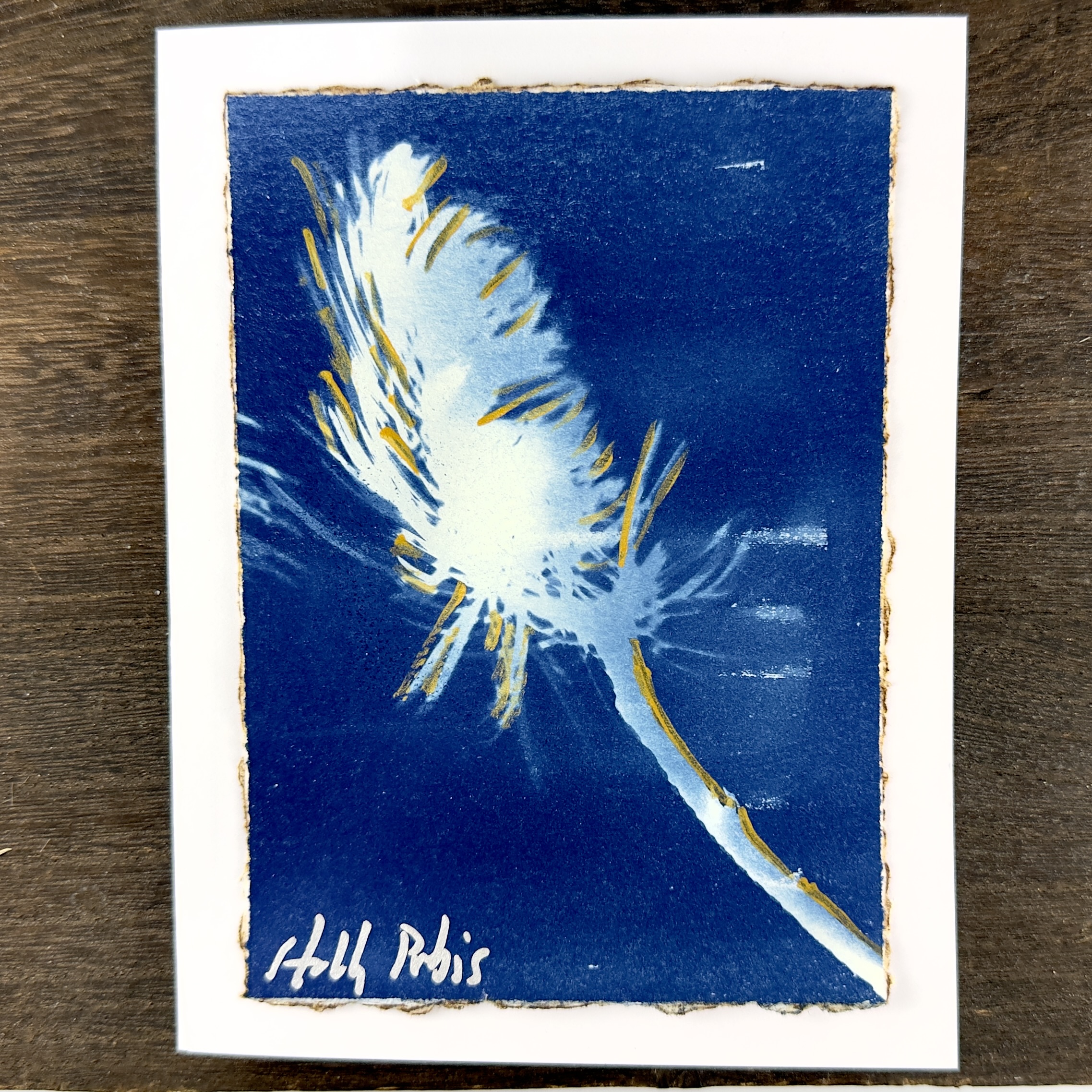 Cyanotype Greeting Cards (A) - Image 5