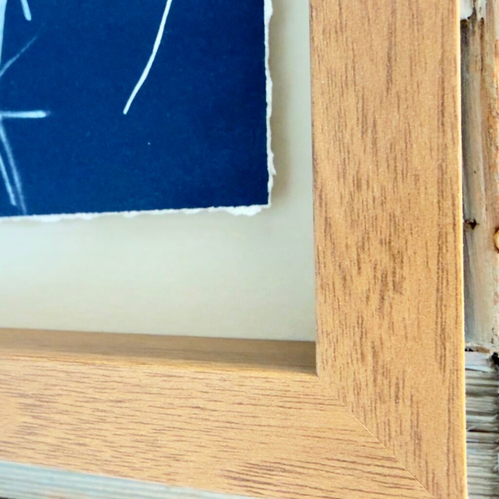 Little Bluestem (Cyanotype)