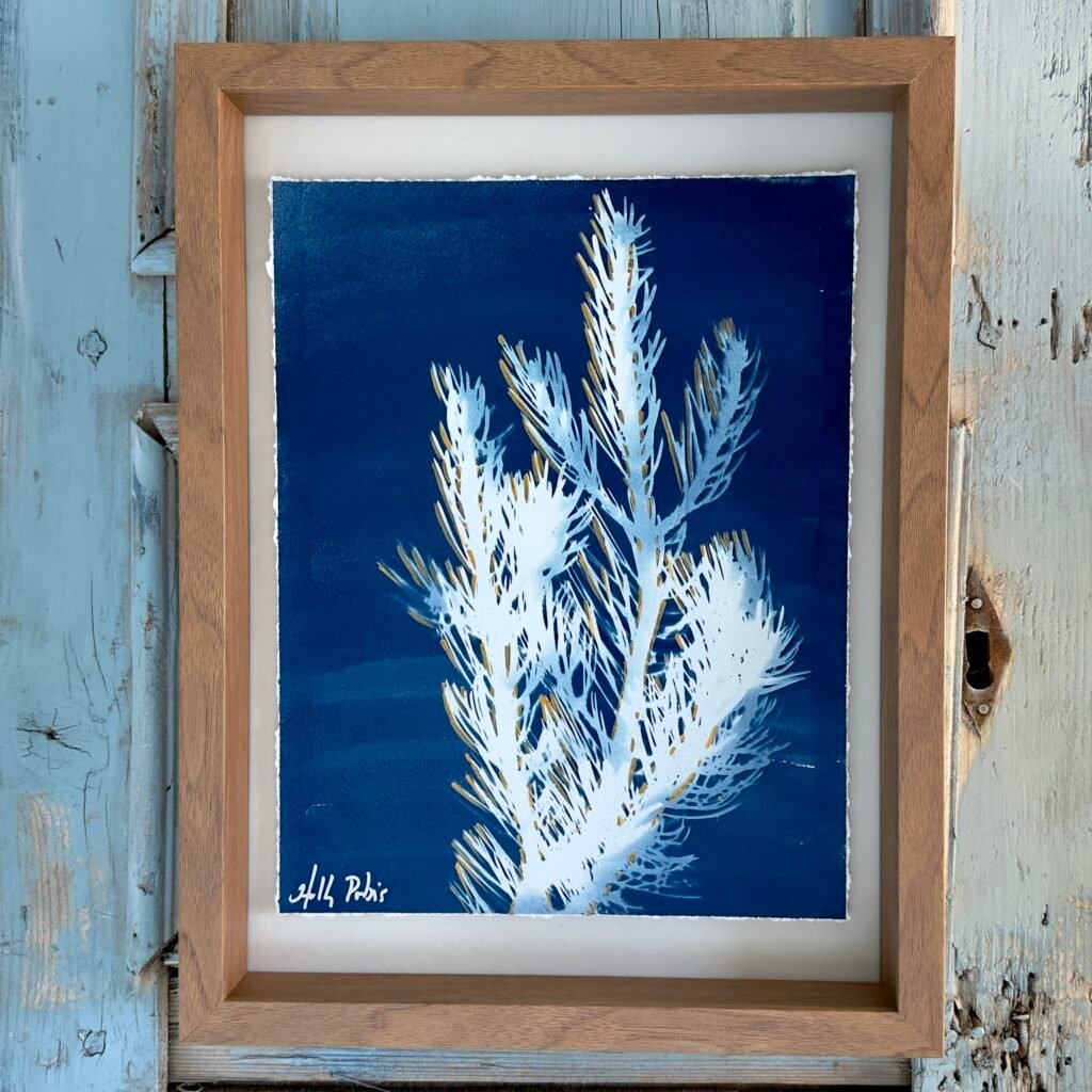 Pinon (Cyanotype)