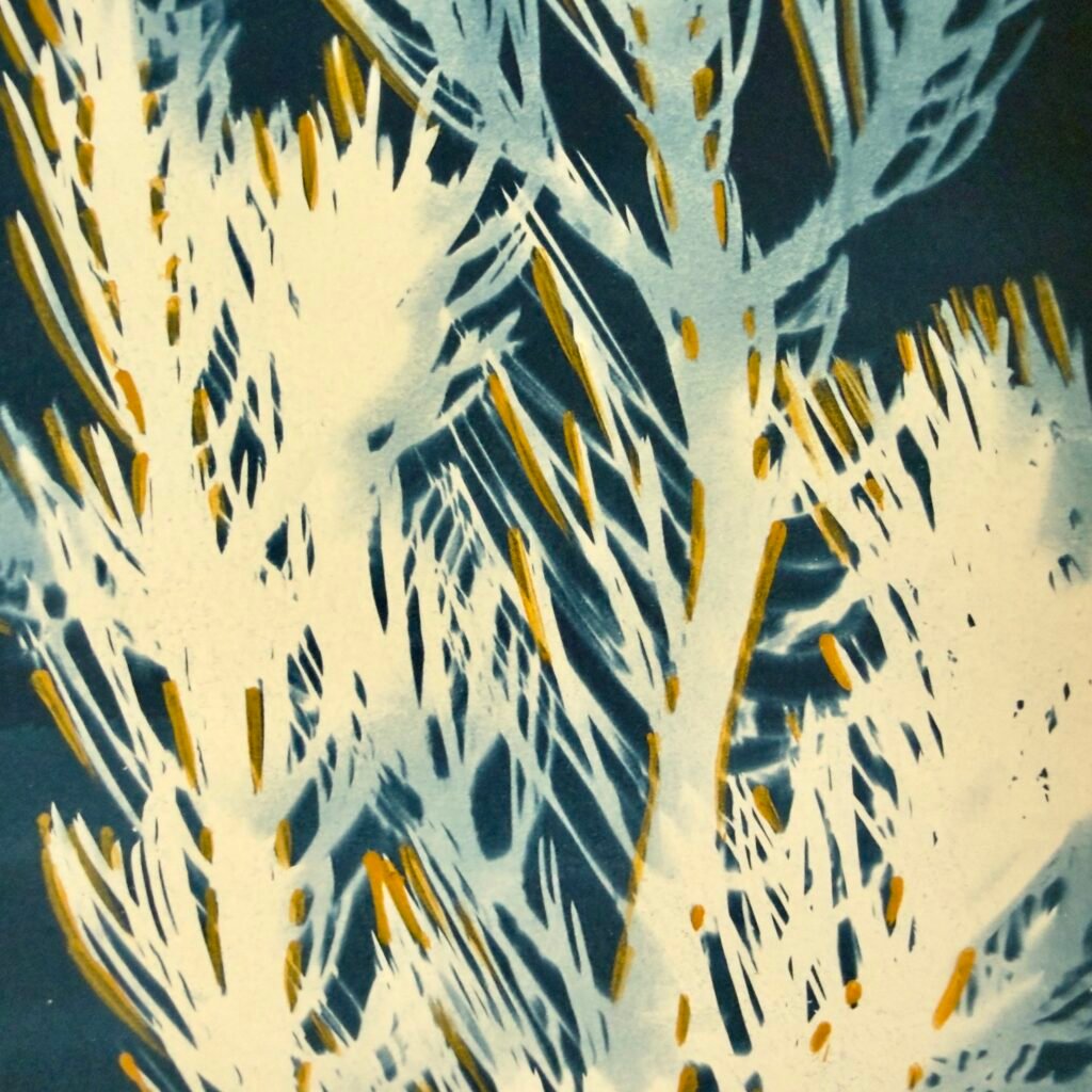 Pinon (Cyanotype)