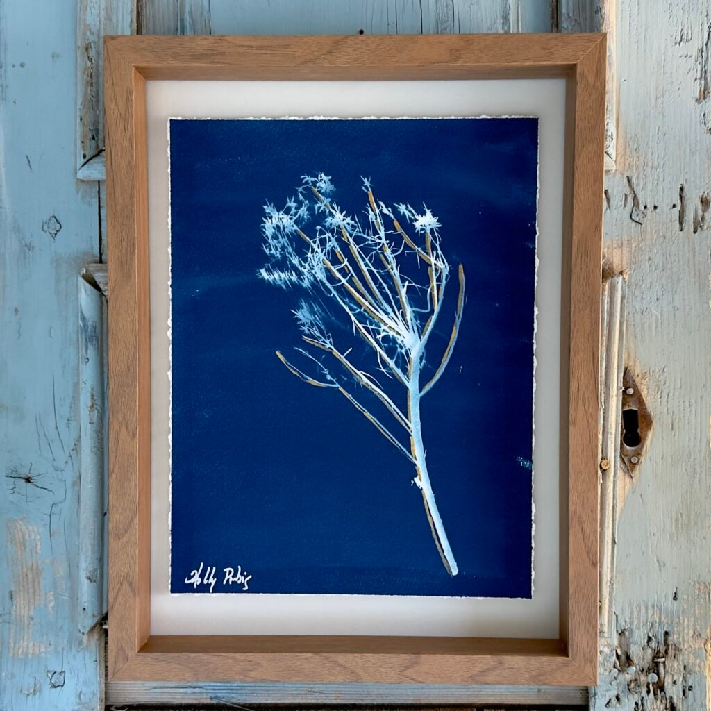 Winter Chamisa (Cyanotype)
