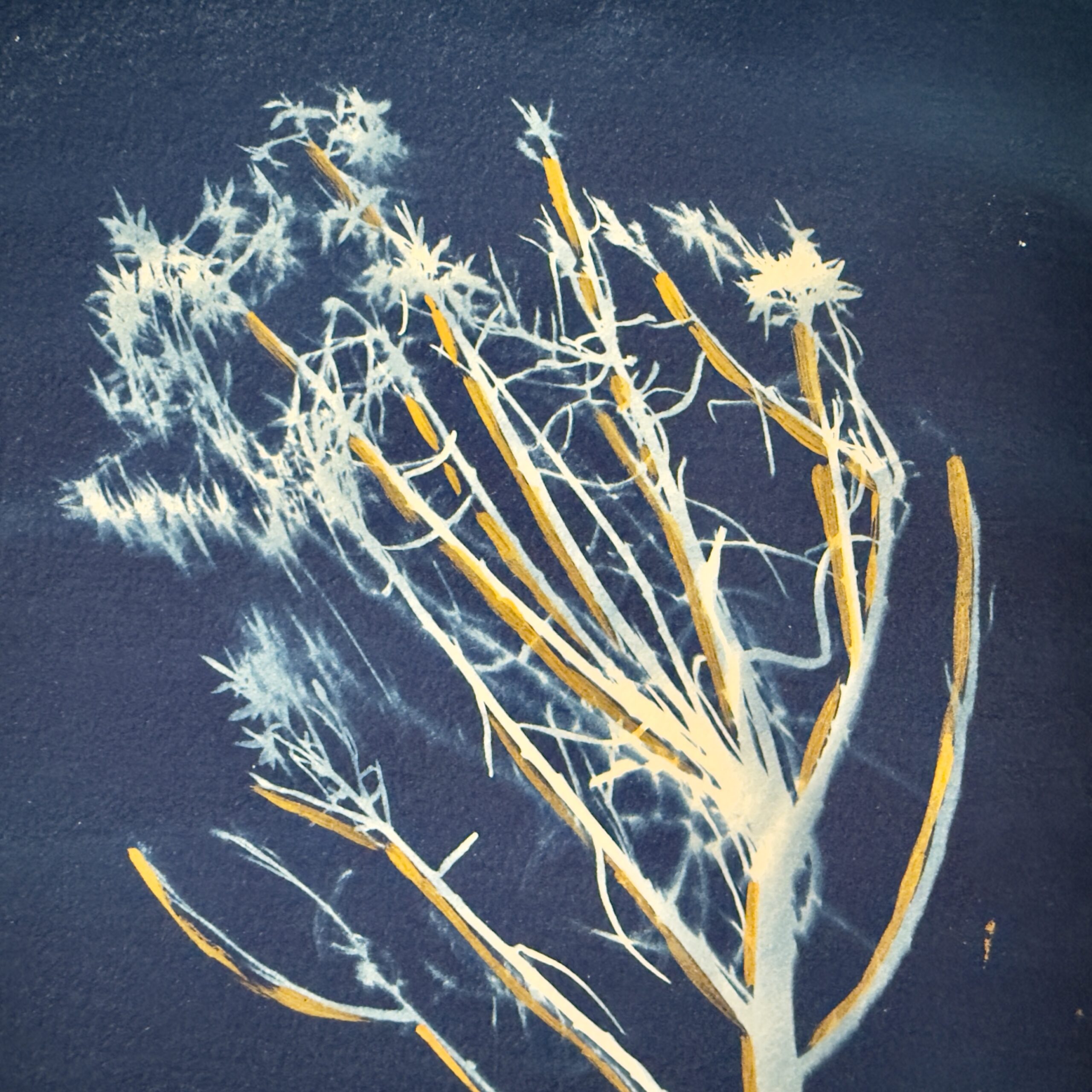 Winter Chamisa - Image 2