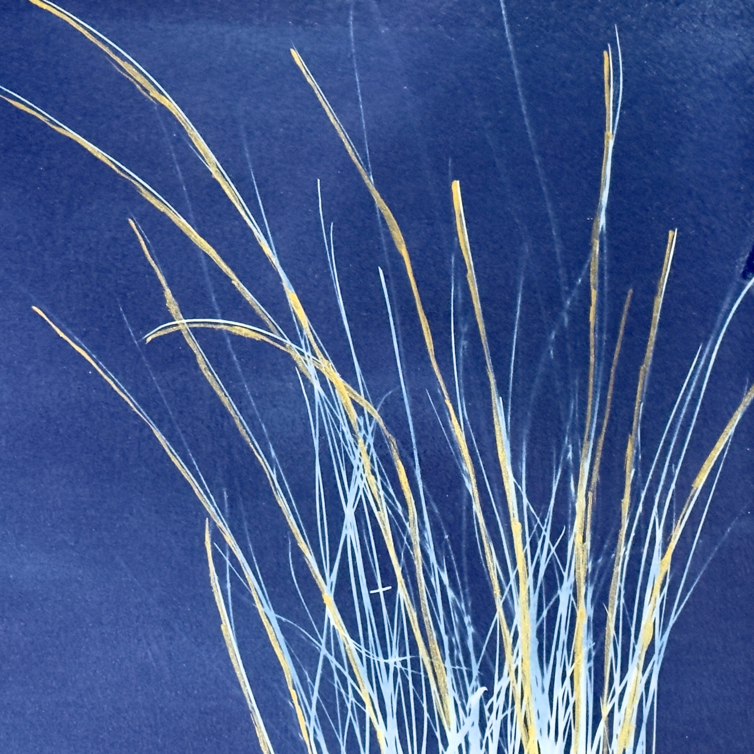 Little Bluestem - Image 2