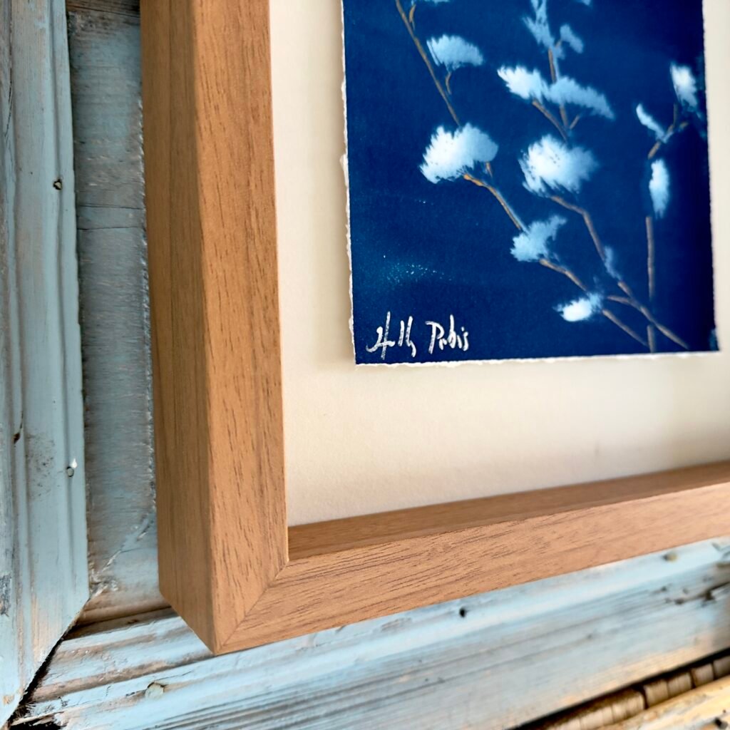 Winter Sage (Cyanotype)