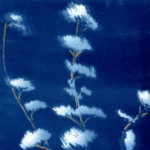 Winter Sage - Image 2