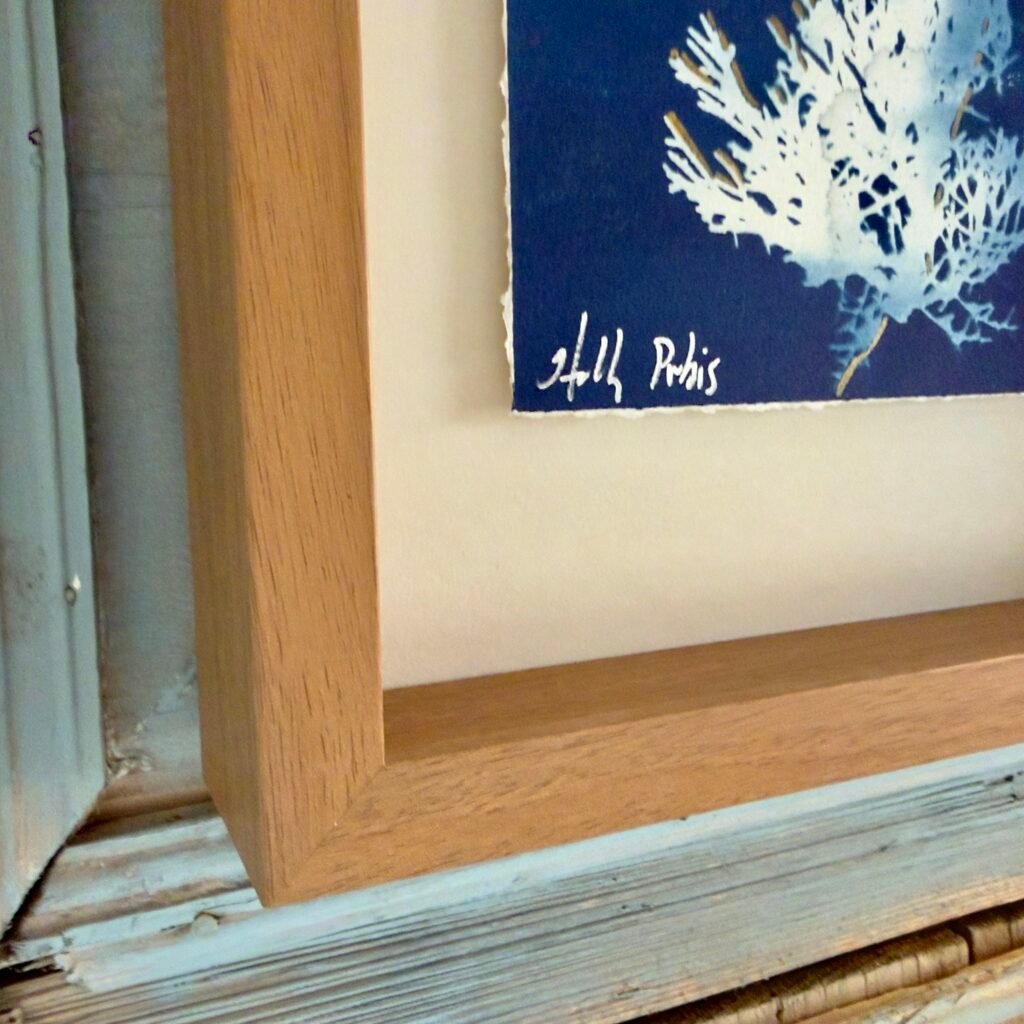 Juniper (Cyanotype)