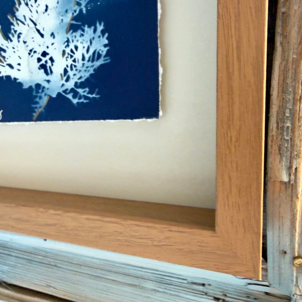 Juniper (Cyanotype)