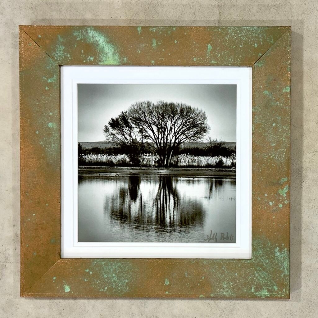 Echo (Framed Giclee Print)