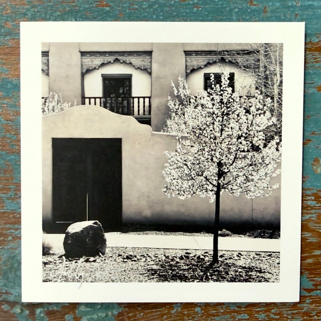 Southwest Architecture (Photo Greeting Cards)