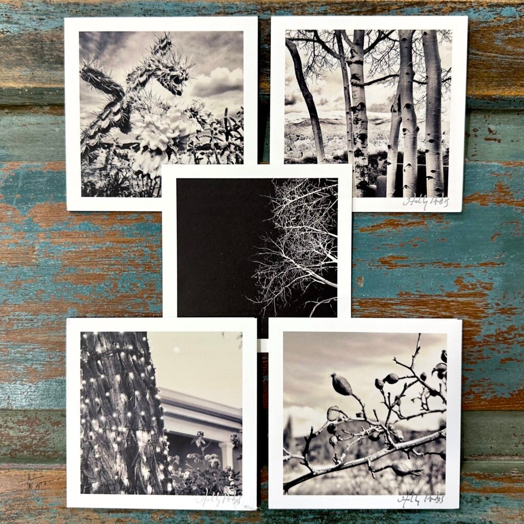 Santa Fe Botanical (Photo Greeting Cards)