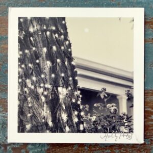 Santa Fe Botanical (Photo Greeting Cards) - Image 4