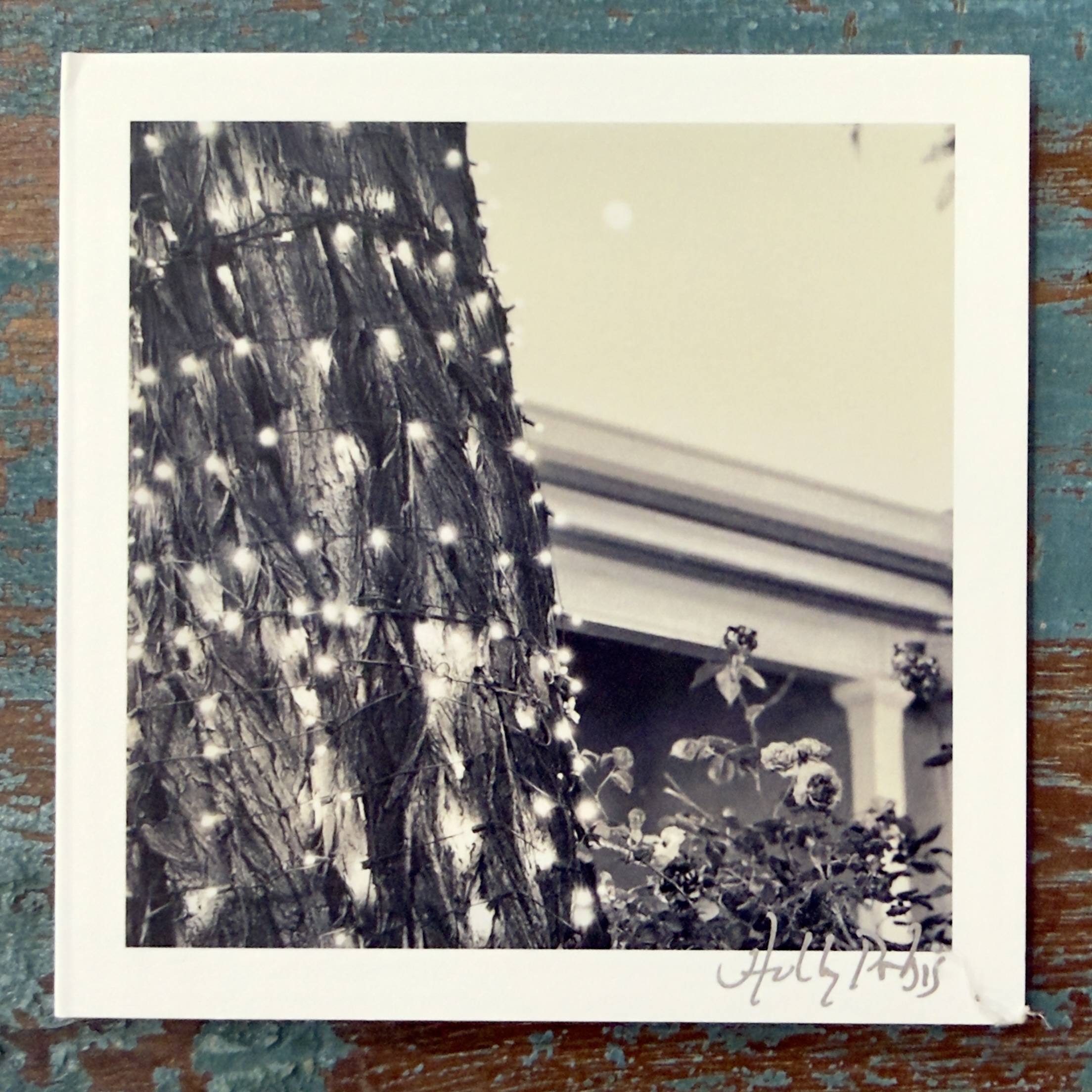 Santa Fe Botanical (Photo Greeting Cards) - Image 4