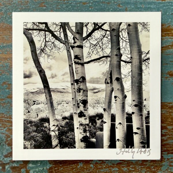 Santa Fe Botanical (Photo Greeting Cards)