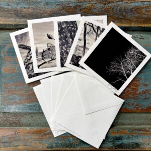 Santa Fe Botanical (Photo Greeting Cards) - Image 2