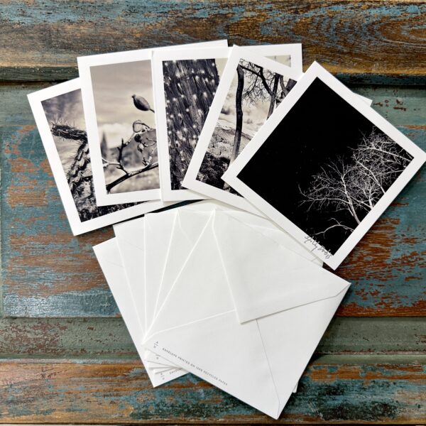 Santa Fe Botanical (Photo Greeting Cards)