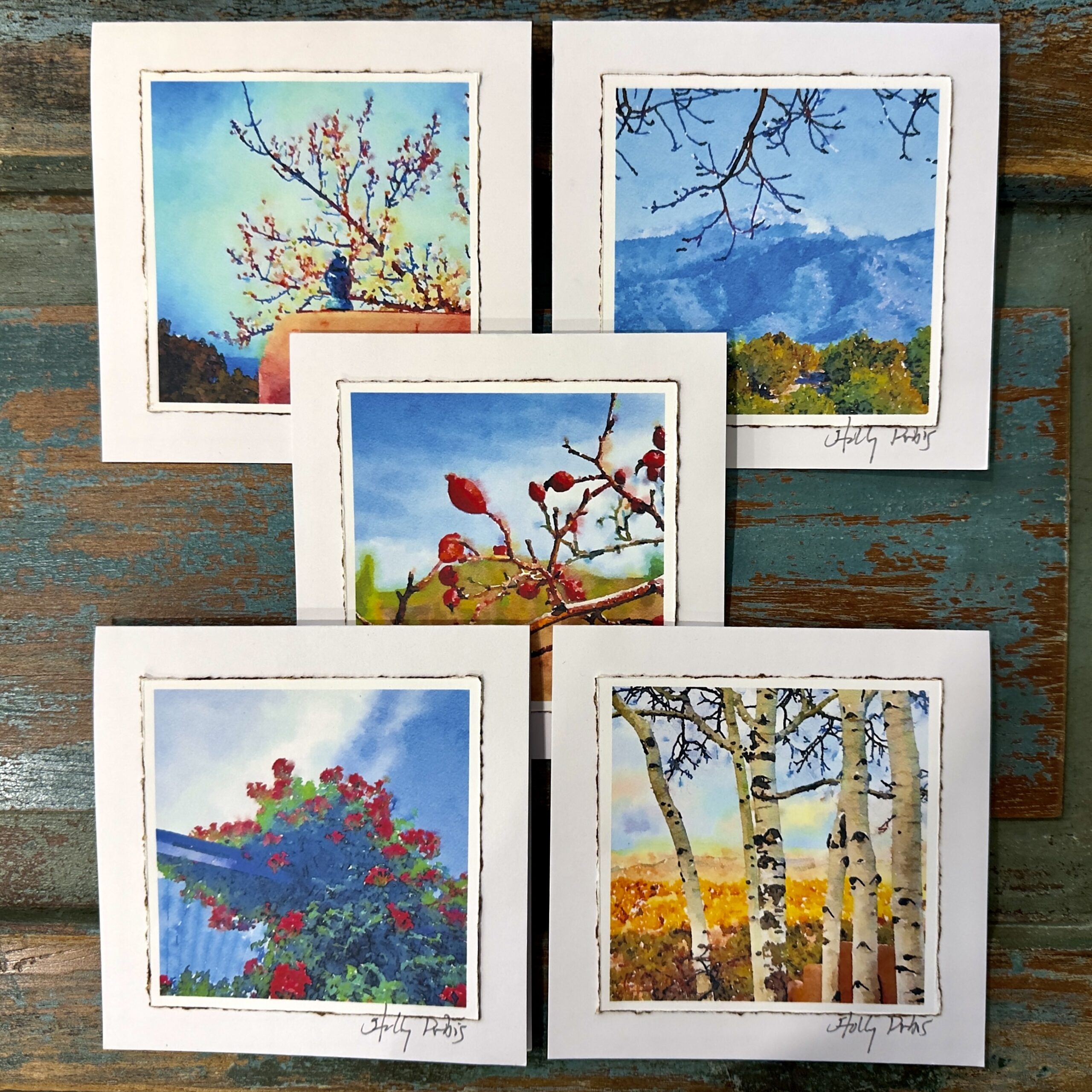 Santa Fe City Botanic (Digital Watercolor Photo Greeting Cards) - Image 1