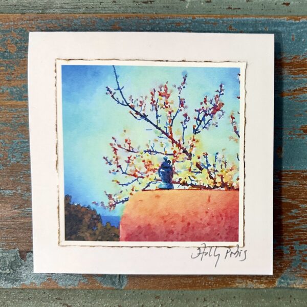 Santa Fe City Botanic (Digital Watercolor Photo Greeting Cards)