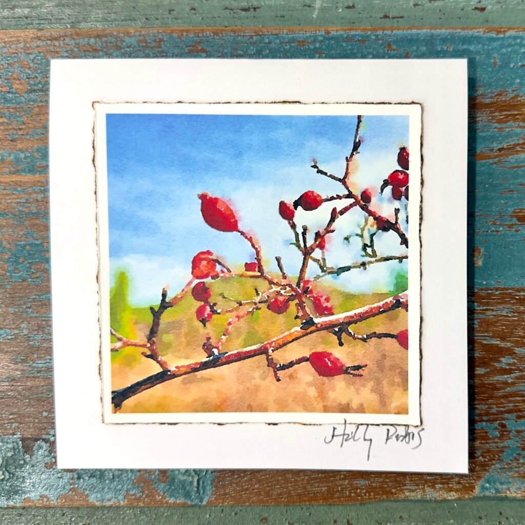 Santa Fe City Botanic (Digital Watercolor Photo Greeting Cards)
