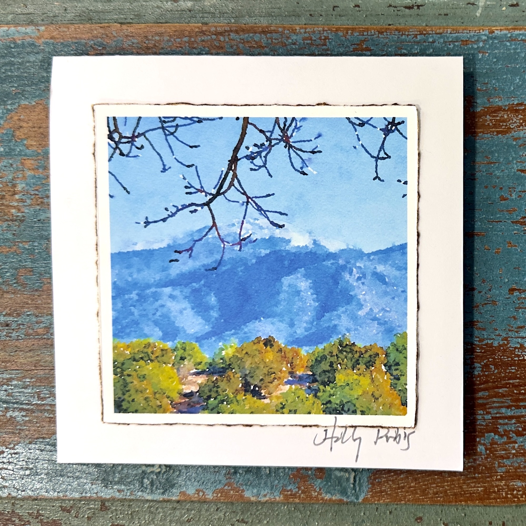 Santa Fe City Botanic (Digital Watercolor Photo Greeting Cards) - Image 6