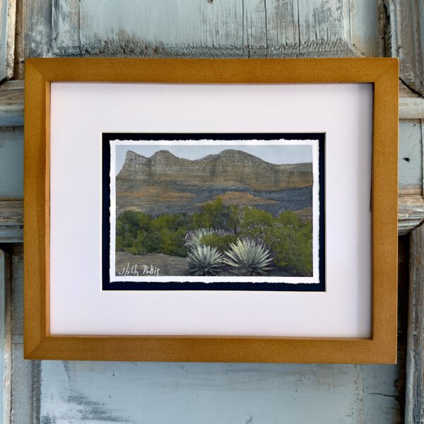 Red Rock Vista (PhotoColour)