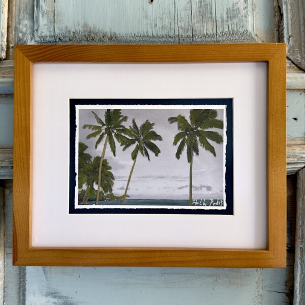 Poipu Palms (PhotoColour Travelogue)