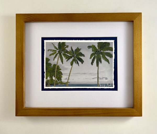 Poipu Palms (PhotoColour Travelogue)