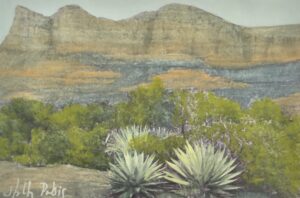 Red Rock Vista (PhotoColour) - Image 2