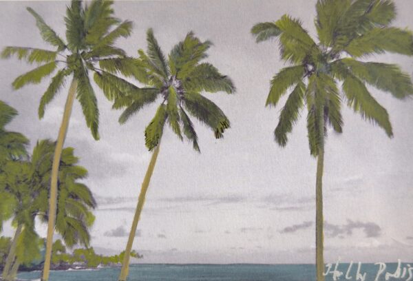 Poipu Palms (PhotoColour Travelogue)