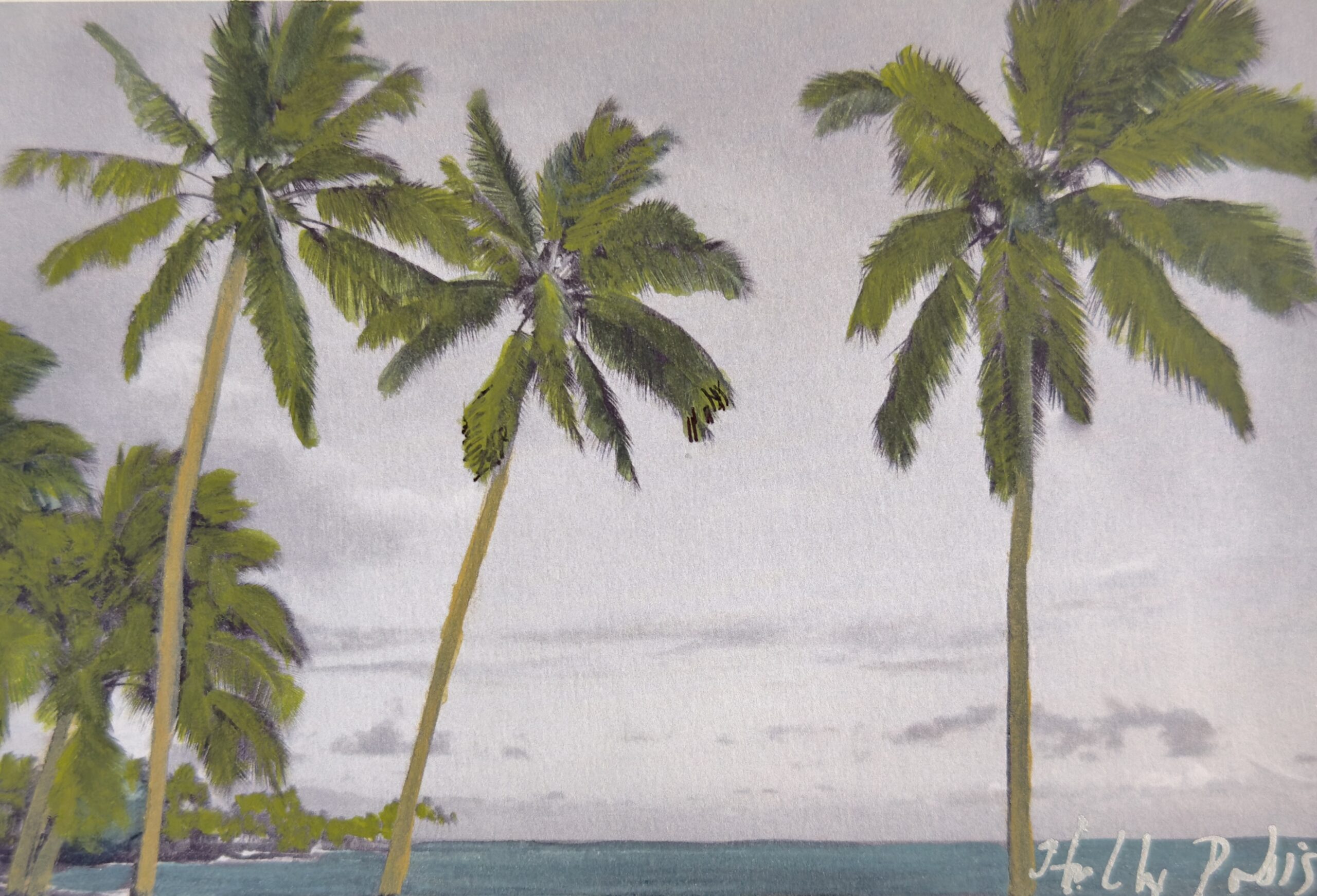 Poipu Palms (PhotoColour Travelogue) - Image 2