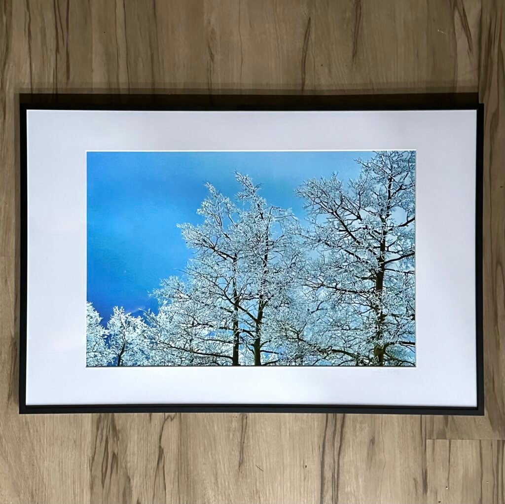 Snowlight 1 (Framed Print)
