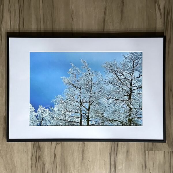 Snowlight 1 (Framed Print)