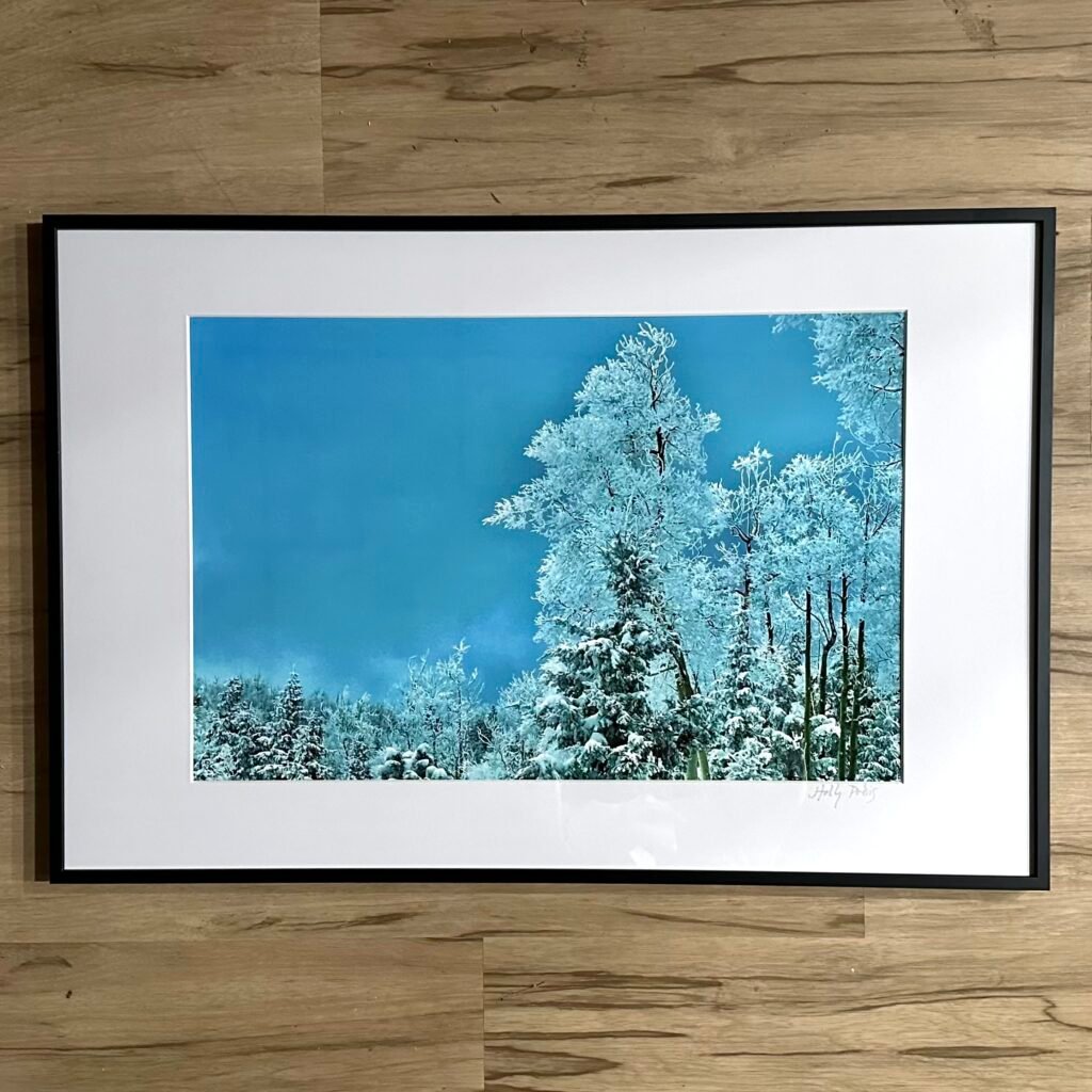 Snowlight 2 (Framed Print)