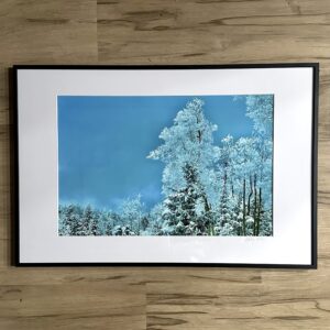 Snowlight 2 (Framed Print)