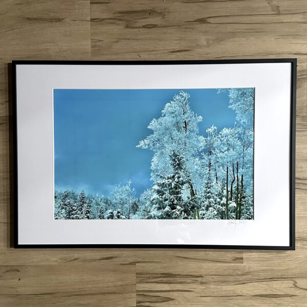 Snowlight 2 (Framed Print)