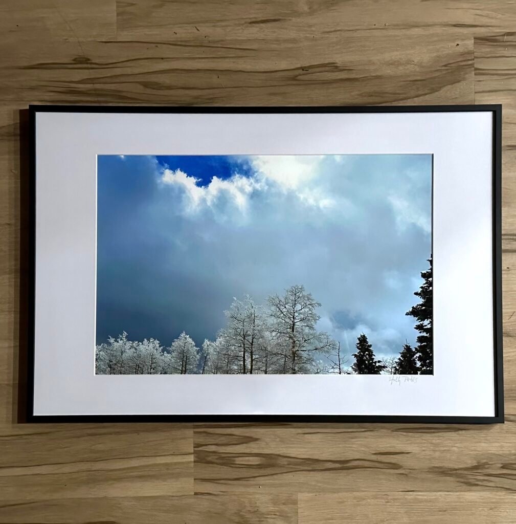 Snowlight 3 (Framed Print)
