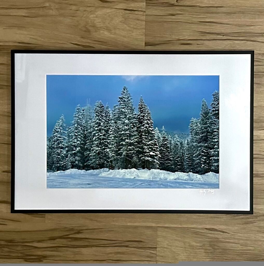 Snowlight 4 (Framed Print)