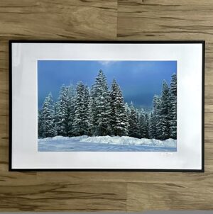 Snowlight 4 (Framed Print)