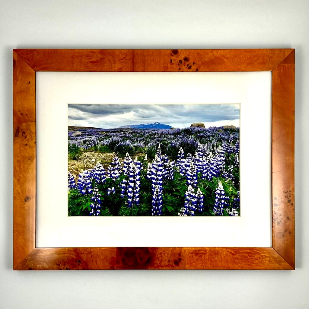 I Bloma (Framed Print)
